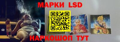 дмт Новозыбков