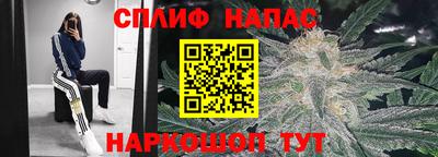 дмт Новозыбков