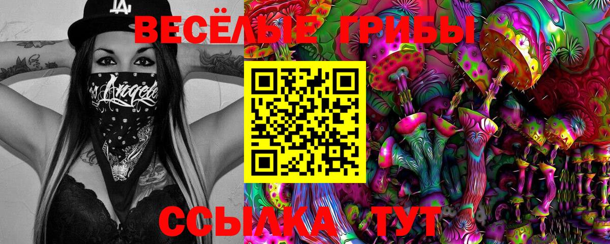 Псилоцибиновые грибы Magic Shrooms Сафоново