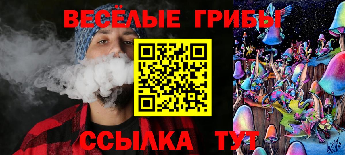 Сафоново  Галлюциногенные грибы Psilocybine cubensis  Вход с VPN  Галлюциногенные грибы GOLDEN TEACHER 